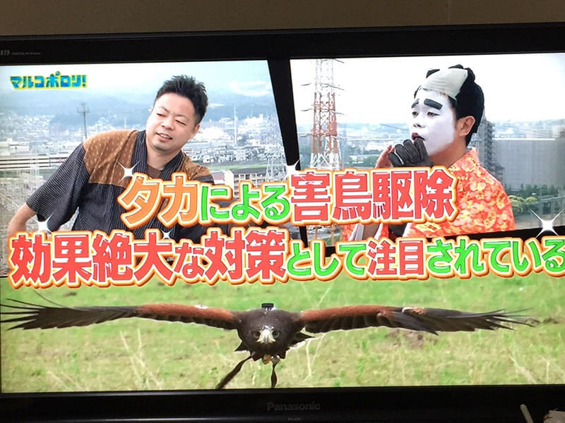 関西テレビ「マルコポロリ」2016年7月17日